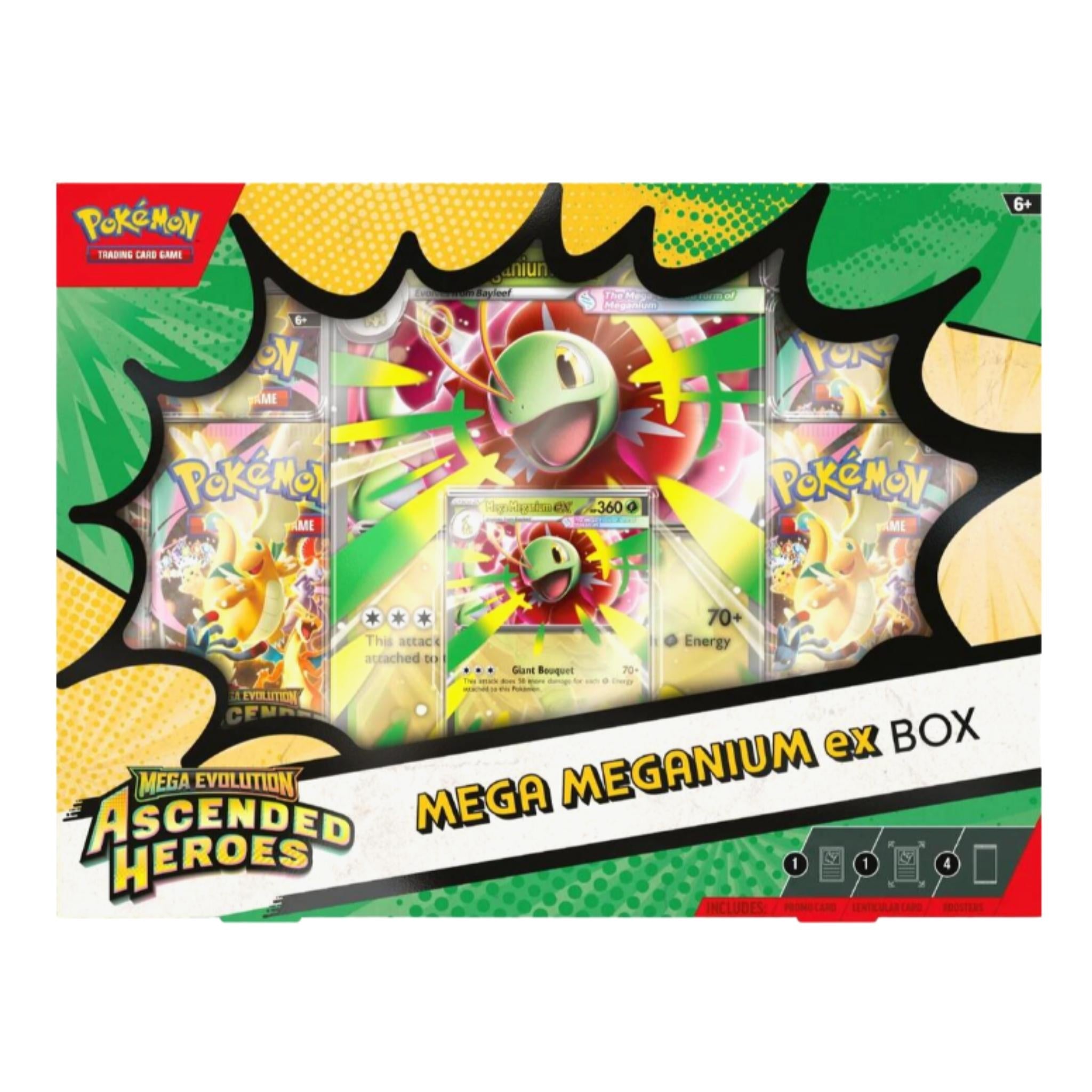 Pokemon ASC Mega Meganium EX Box