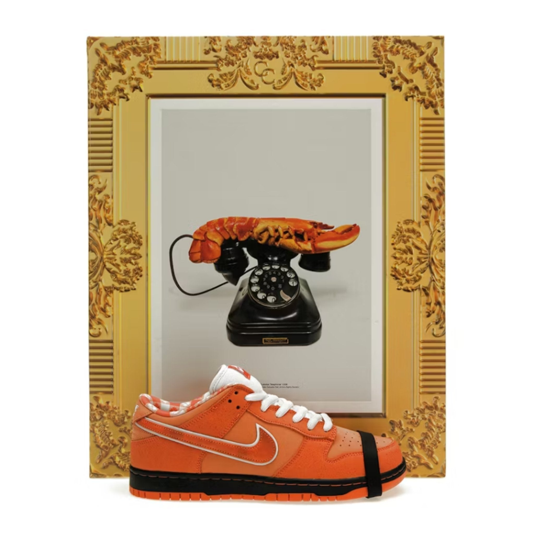 Nike SB x CNCPTS Orange Lobster (Special Box)