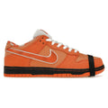 Nike SB x CNCPTS Orange Lobster (Special Box)